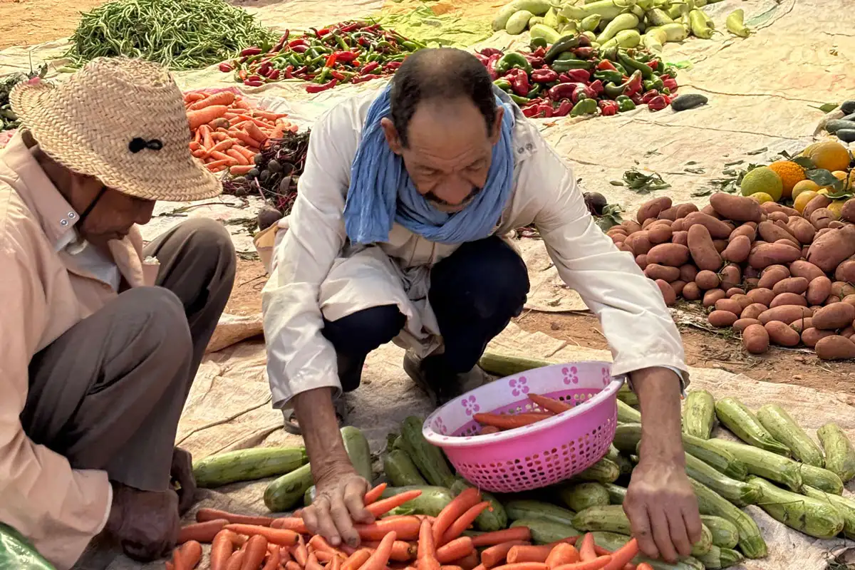 Conecta The Best Morocco