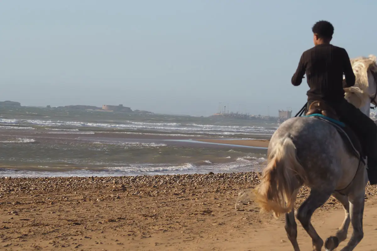 Vive The Best Morocco