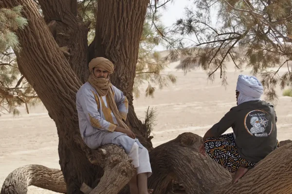 Oasis Perdidos: Confort y Exploración en el Corazón del Sáhara Oasis Perdidos: Confort y Exploración en el Corazón del Sáhara