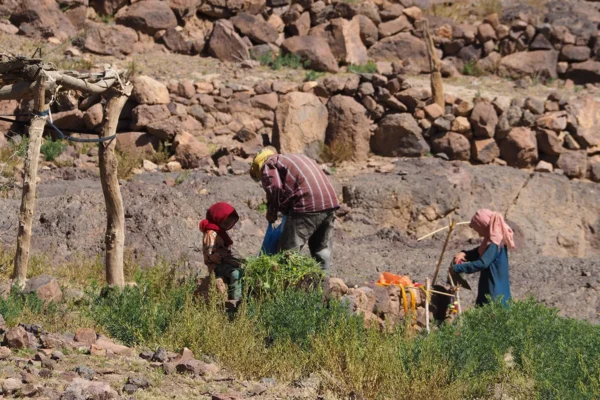Formaciones extraordinarias, nómadas y pastores en las montañas del Saghro Formaciones extraordinarias, nómadas y pastores en las montañas del Saghro