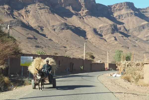 La ruta de las caravanas, un viaje de conexión, resistencia y legado