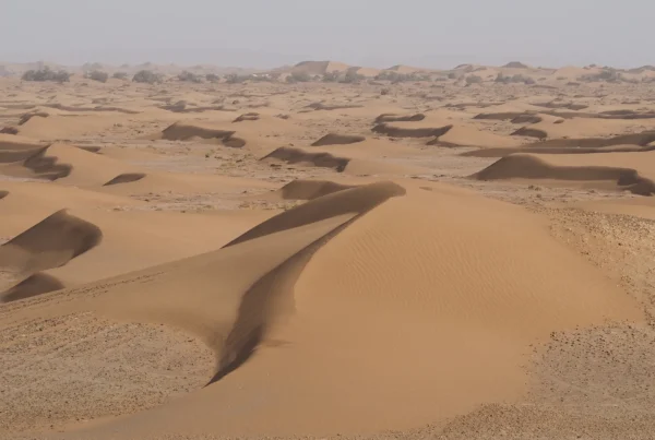 Especial para Aventureros: Expedición Nómada al Sáhara. Aventura y Descubrimiento a Pie Bajo las Estrellas