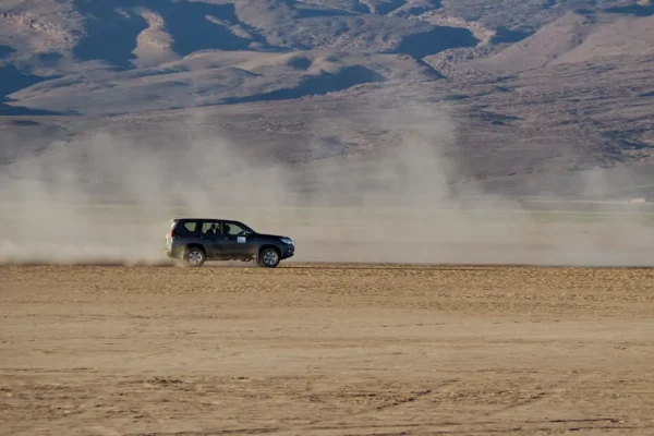 Los caminos de los grandes rallys: adrenalina y polvo sobre ruedas