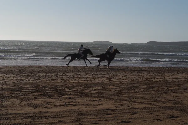 Un viaje legendario a caballo por la última frontera atlántica Un viaje legendario a caballo por la última frontera atlántica