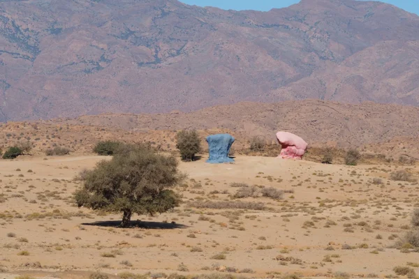 Playas, Dunas y Cañones: Adrenalina entre Costa y Desierto Playas, Dunas y Cañones: Adrenalina entre Costa y Desierto