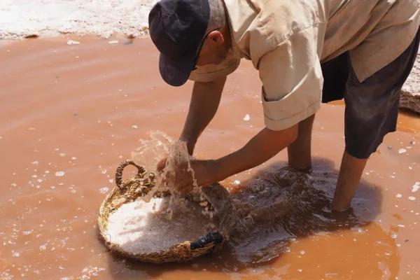 Un viaje a través de una vida dedicada al mar: Exploración y disfrute costero Un viaje a través de una vida dedicada al mar: Exploración y disfrute costero