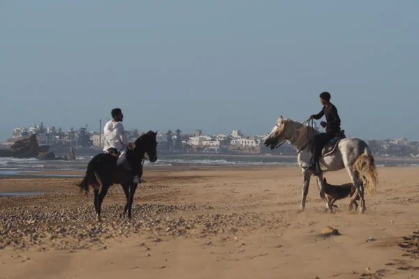 Un viaje legendario a caballo por la última frontera atlántica Un viaje legendario a caballo por la última frontera atlántica