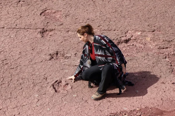 Marruecos bajo la huella de los ancestros: exploración de dinosaurios, fósiles y grabados rupestres Marruecos bajo la huella de los ancestros: exploración de dinosaurios, fósiles y grabados rupestres