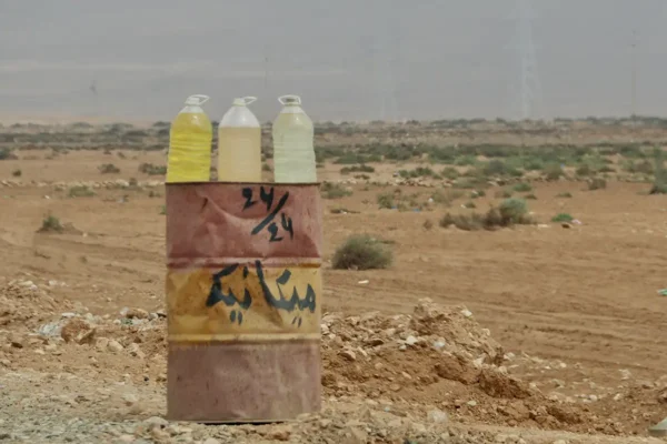 Los caminos de los grandes rallys: adrenalina y polvo sobre ruedas