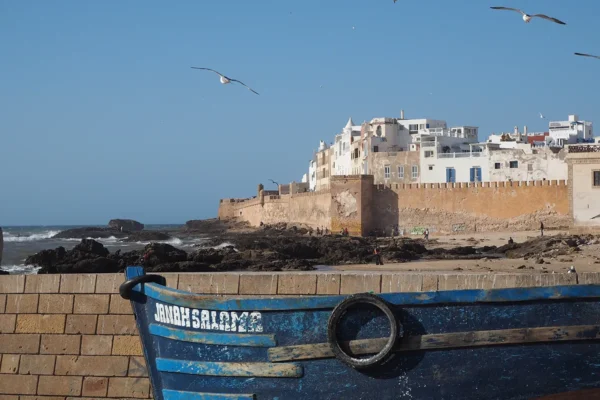 Tesoros de la Humanidad: Un Viaje por los Patrimonios de Marruecos