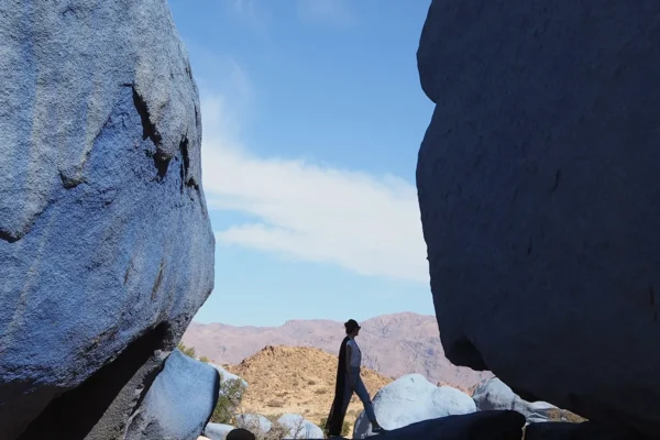 Playas, Dunas y Cañones: Adrenalina entre Costa y Desierto Playas, Dunas y Cañones: Adrenalina entre Costa y Desierto