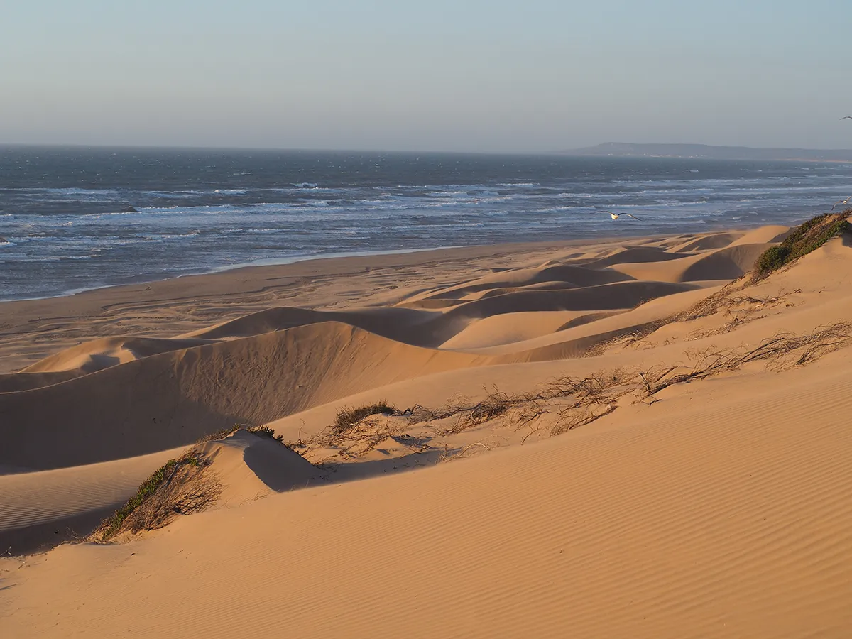 Un viaje a través de una vida dedicada al mar: Exploración y disfrute costero