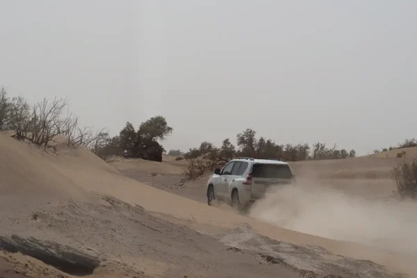 Los caminos de los grandes rallys: adrenalina y polvo sobre ruedas