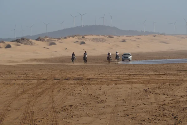Un viaje legendario a caballo por la última frontera atlántica Un viaje legendario a caballo por la última frontera atlántica