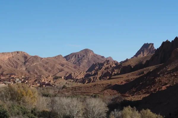 Los caminos de los grandes rallys: adrenalina y polvo sobre ruedas