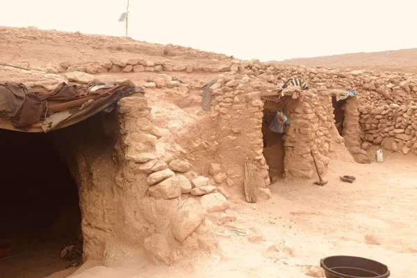 Vida nómada, dunas y vida salvaje: un safari que trasciende lo convencional Vida nómada, dunas y vida salvaje: un safari que trasciende lo convencional