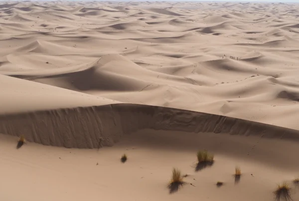 Hasta donde llegue el Draa: explorando el límite entre el desierto y la vida amazigh