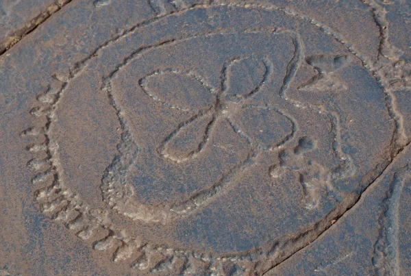 Marruecos bajo la huella de los ancestros: exploración de dinosaurios, fósiles y grabados rupestres