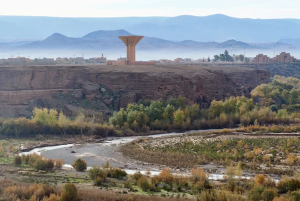 El alma del desierto: historia, cultura y la música ancestral del pueblo Gnawa