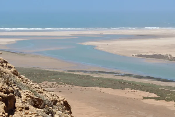 Hacia la tierra olvidada: una travesía entre cañones y la costa desconocida