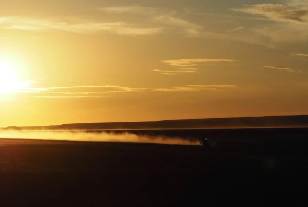 Los caminos de los grandes rallys: adrenalina y polvo sobre ruedas