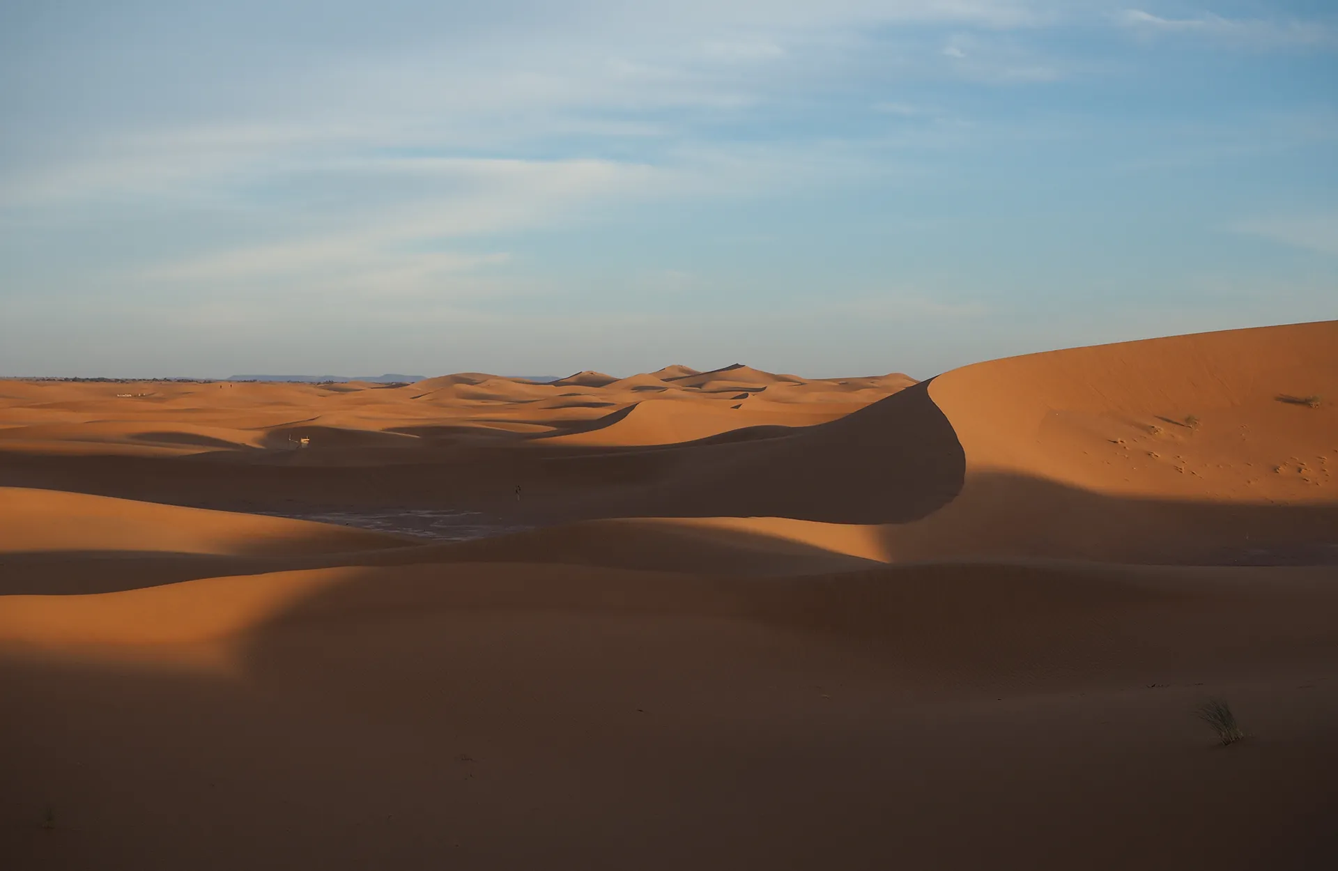 Flora y fauna: una odisea natural por los paisajes de Marruecos